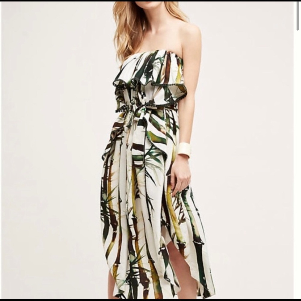 Beautiful 100% silk TRYN Anthropologie dress